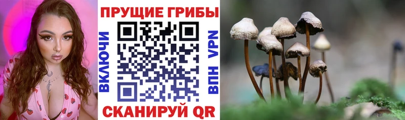 Галлюциногенные грибы ЛСД  Нурлат 
